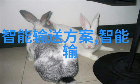 睡眠追踪设备解锁梦境之谜优化休息质量