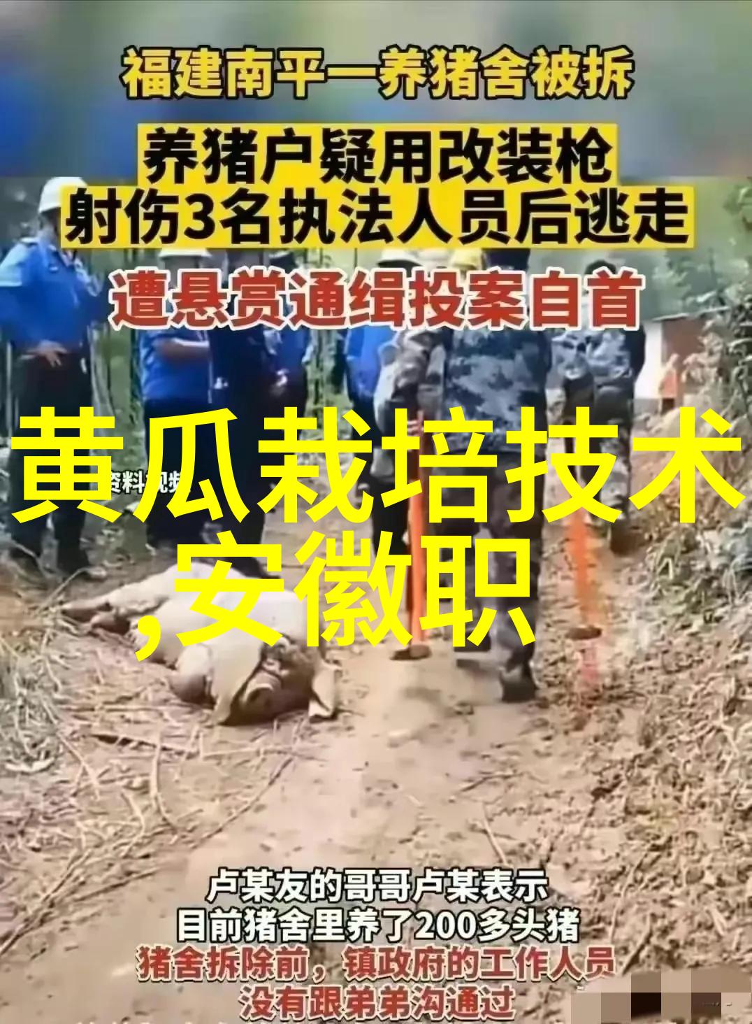 密炼机设备我是如何通过一台小巧的密炼机提升我的生活品质的