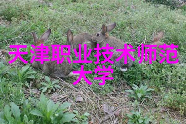 北京交通大学智能装备与系统让我们一起探索未来的科技之旅