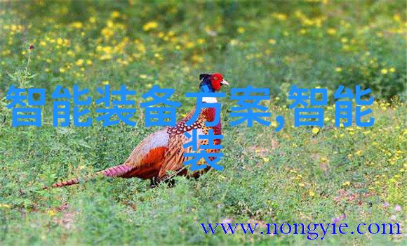 智能仪表资讯-智能监控时代智能仪表如何优化工业自动化管理