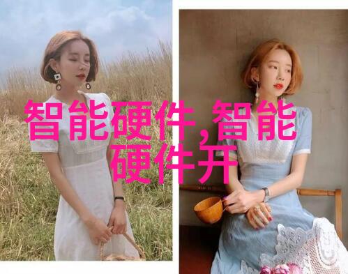 开发者能否提供定制化解决方案以适应不同行业的需求