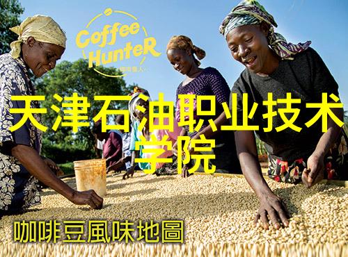 千金笑txt下载我怎么也没想到我竟然从网上找到了她最爱的txt小说