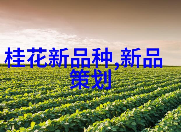 移动式泥石分离机革新建筑工地的环境治理与资源回收技术