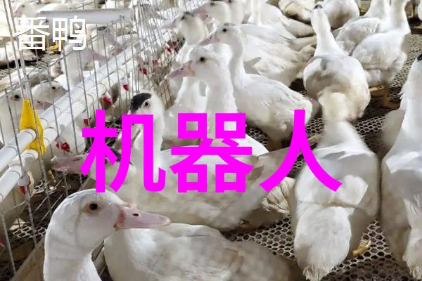 个人申请专利怎么申请亲测攻略全解析