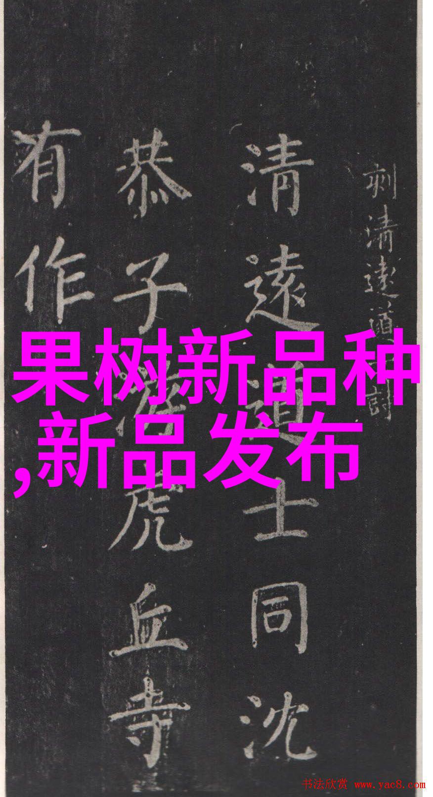 科技热点小米旗舰新品发布会革新未来亮相创新