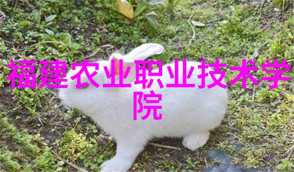 探秘a组填料图片背后的故事揭开虚拟世界中的数字艺术与文化现象