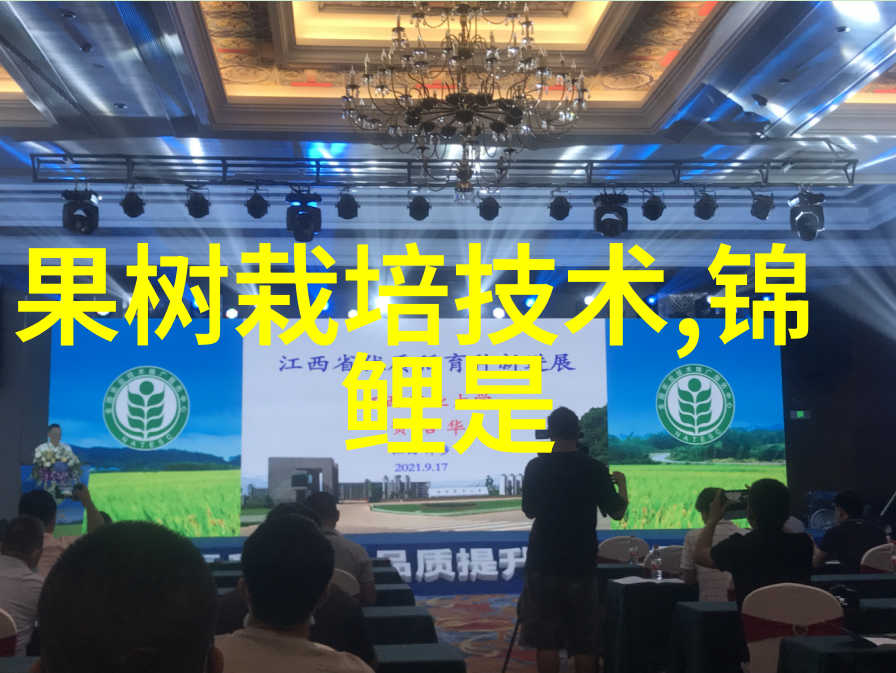 北京等保测评公司揭秘小板型785G主板大拼杀13款高性能选手争霸巅峰