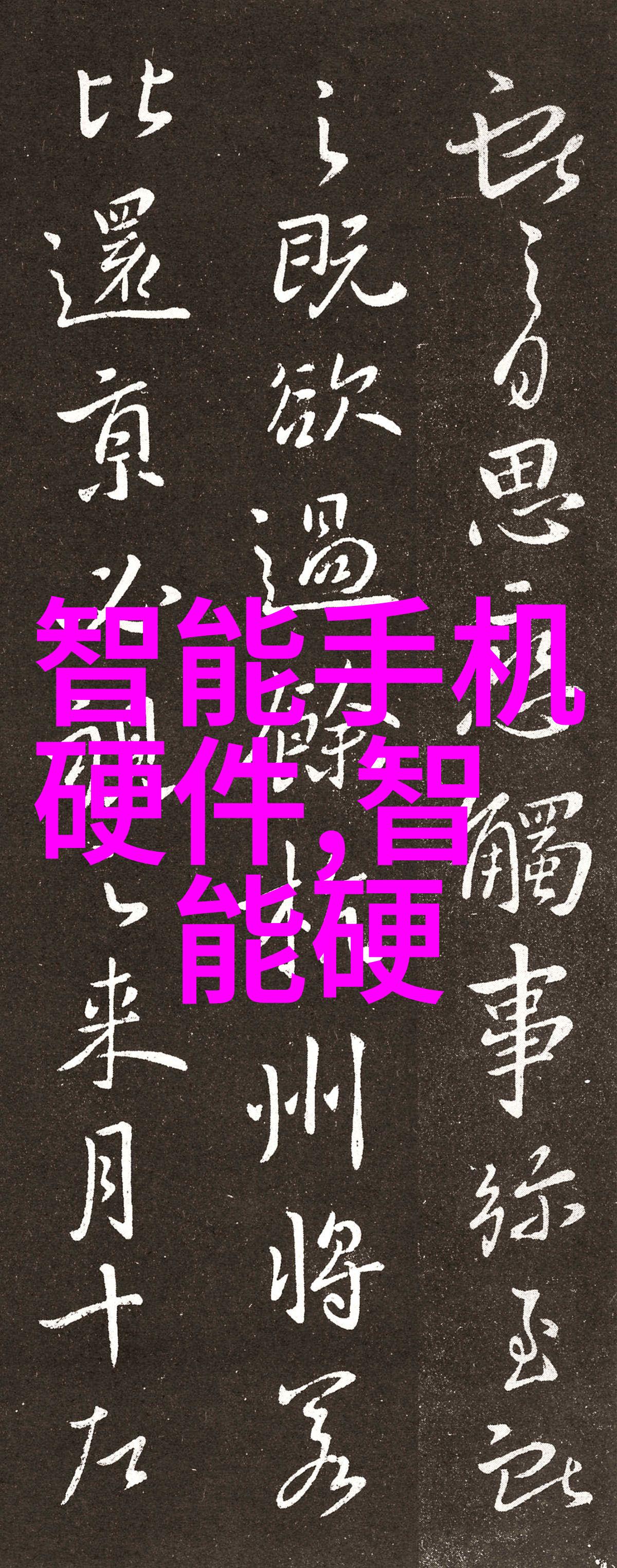 数据战略与技术支持探索高效的商用密码验证服务提供者