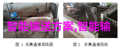 摇视频的艺术与准确性
