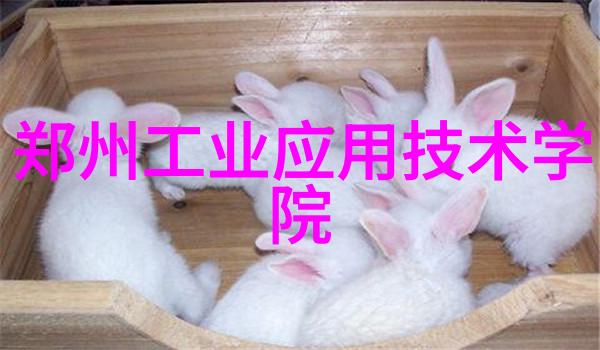 从业者的心得体会如何用100字诠释一年的辛勤付出