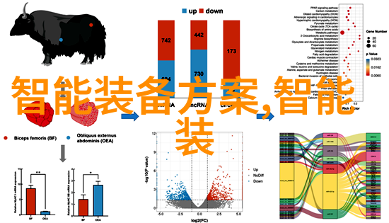 高压灭菌锅长时间运行对食品安全性的影响研究