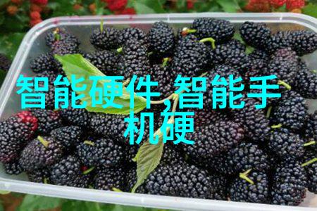 云南财经大学官网入口翱翔在数字天际的财富之舟