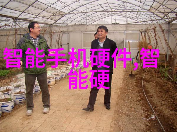 巨型微波烘干机大规模食品加工的高效解决方案