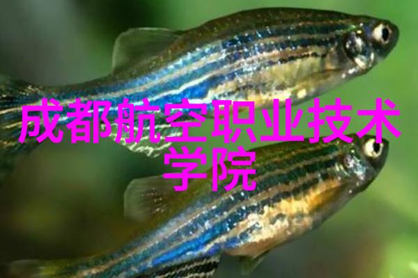 风之舞冰凉的呼唤