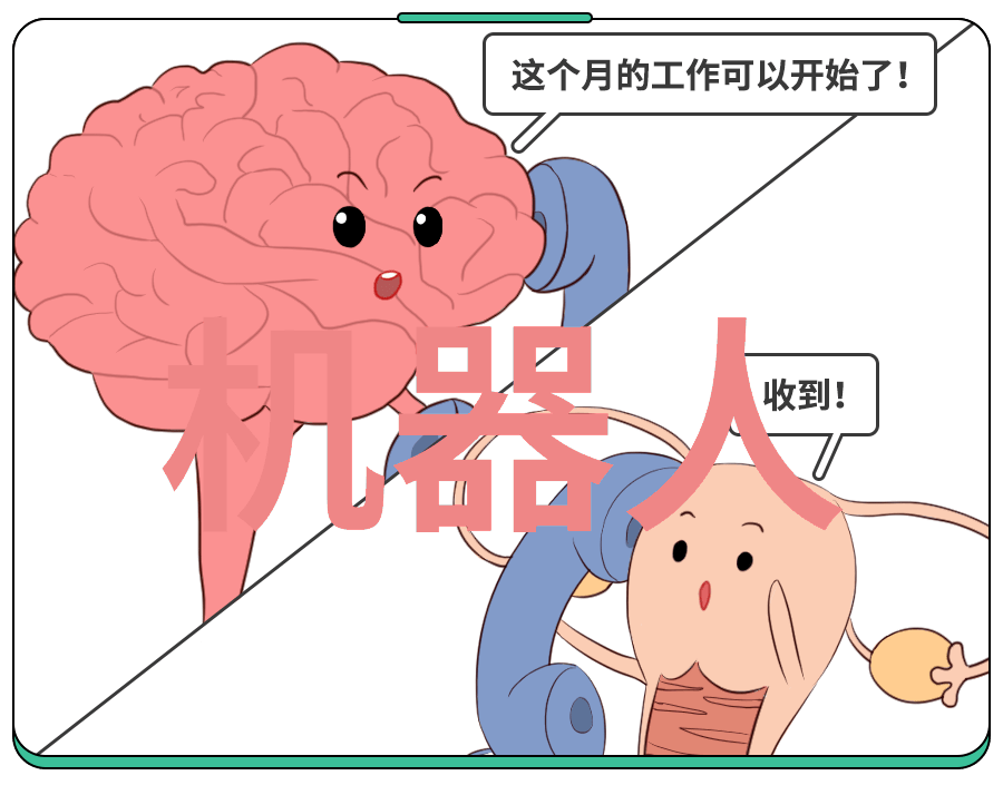 主题我来告诉你我们的水净化大师