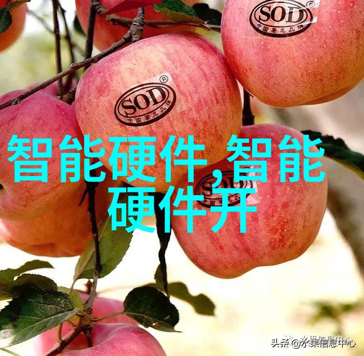 修真世界的奇迹探秘TXT版本的神秘力量