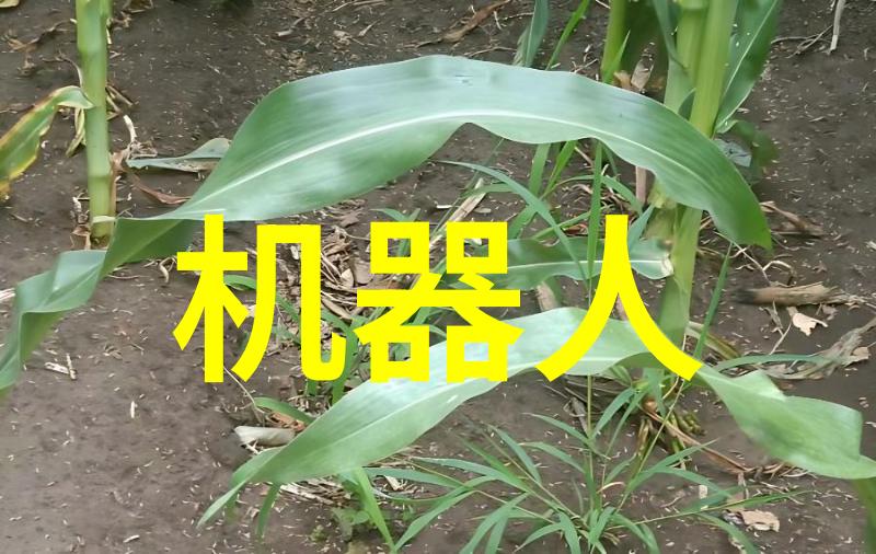 医疗设备-高效清洁自动高压蒸汽灭菌器在医院中的应用与优势