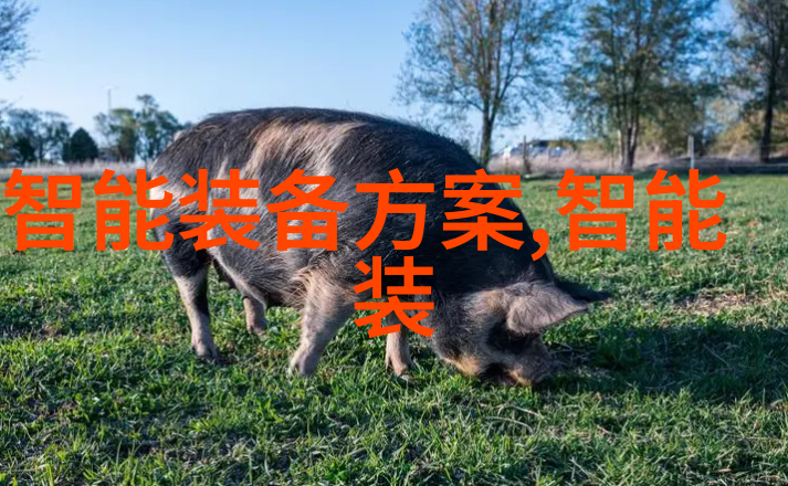 水质监测系统确保清洁源自科学的眼睛