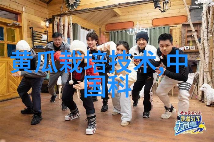 打造完美开题报告问题目标和策略的布局