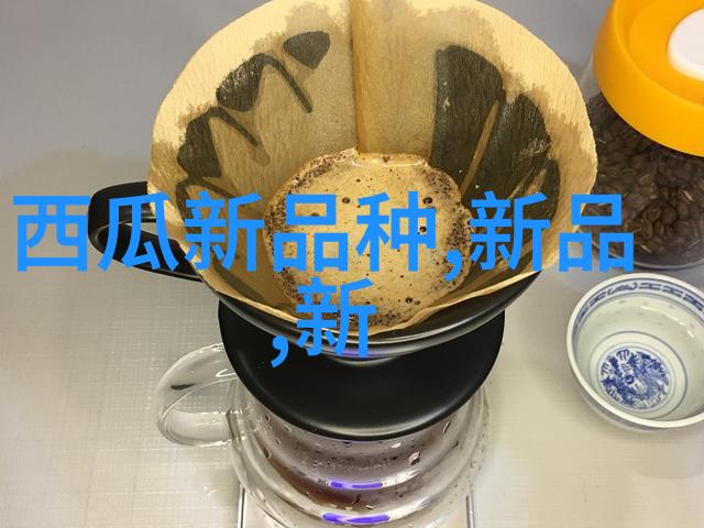 我是谁我的筛选设备从杂乱到有序的日常英雄