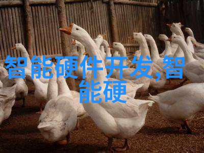 电热蒸汽发生器高效可靠的工业蒸汽源
