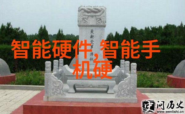 杀菌速度与安全标准在什么条件下微波可以确保食品彻底被杀死所有细菌