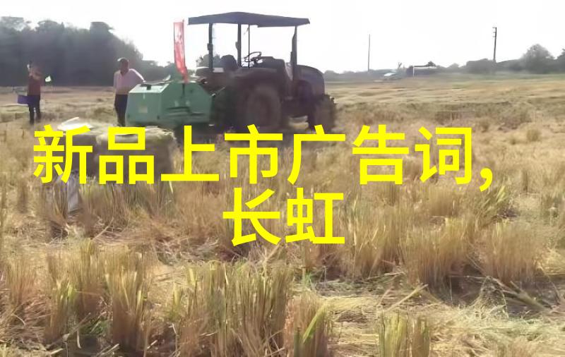 国产EDA觉醒时代从自然之中走出来的ICCAD竞赛冠军探索1nm工艺的极限