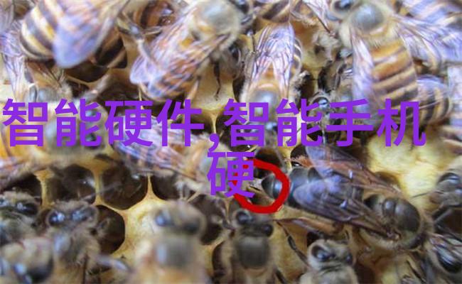 化工片剂机械背后的秘密是什么