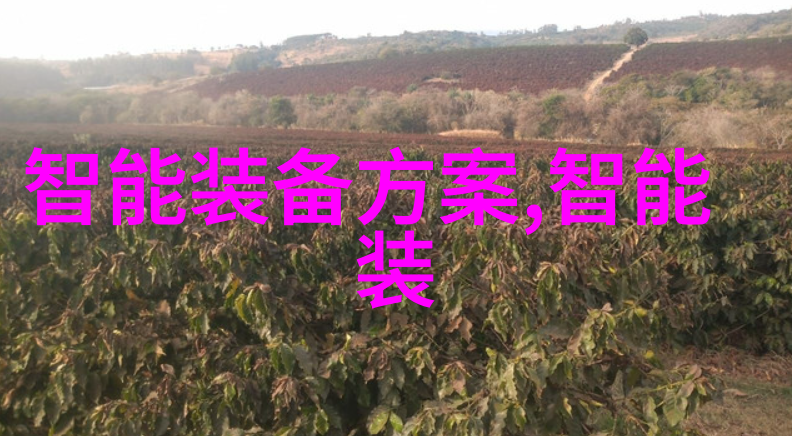 等离子体技术新一代无需化学品的灭菌方法