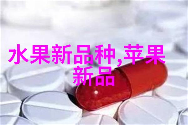探秘郑州财经学院从历史到当代的成长历程