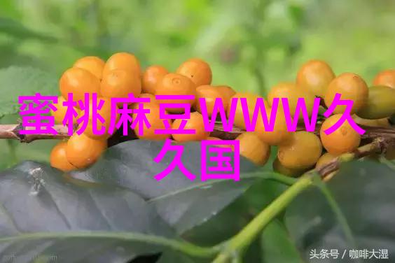 实用性与环保兼顾的小型废气净化系统研究报告