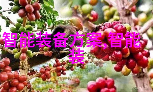 安徽电子信息职业技术学院我们在这里成长与奋斗