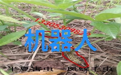 PVC管与PPR管的区别深度解析塑料制品材料选择指南