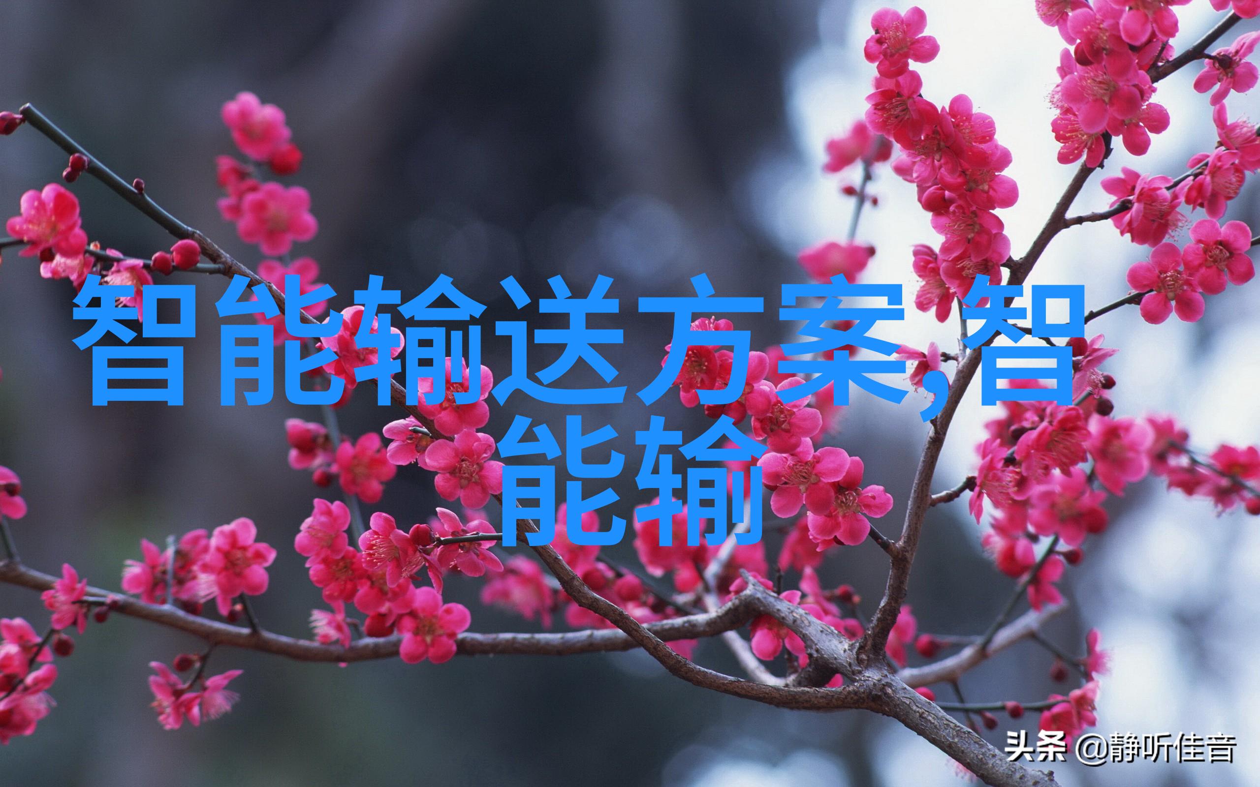 医用消毒灭菌技术高效杀菌剂应用