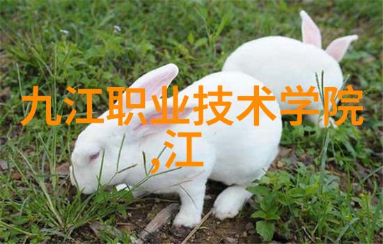 述职报告部队士官-荣耀前行部队士官述职报告