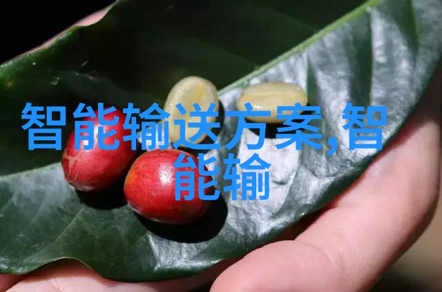 化工包衣机械精细工艺的守护者与效率提升的引擎
