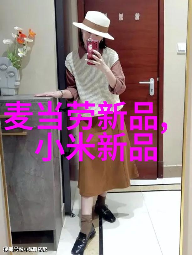小型两相电搅拌机能否兼容碟盘过滤器