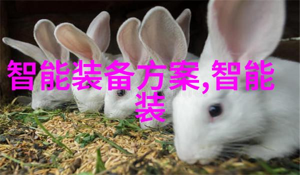 调教群芳花间游侠与诗仙的秘密花园