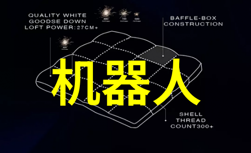 工作报告格式模板的神秘之谜揭开成功汇报的秘密是什么