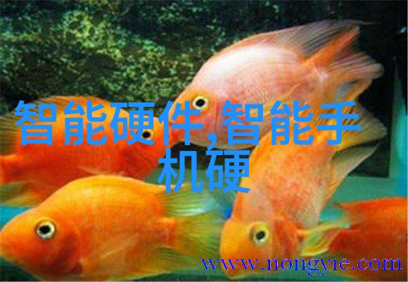 pp-r管材的未来之谜环保材料的可持续发展