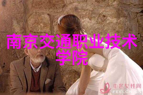 西域剑主的孤行