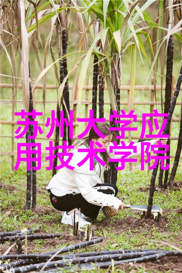 华为芯片难题迎刃而解2023年新征程
