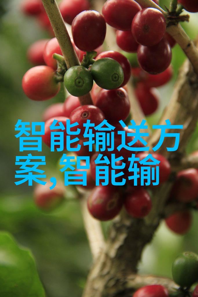 上海波纹填料-上海波纹填料城市美化的新选择