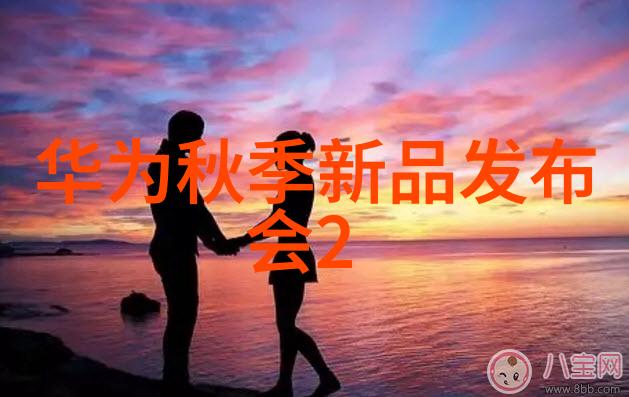 高级清洁系统中的关键设备隔膜泵的选择与应用
