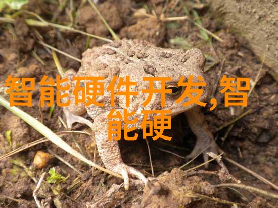 祸国十四阙揭秘那些致命的政治隐患