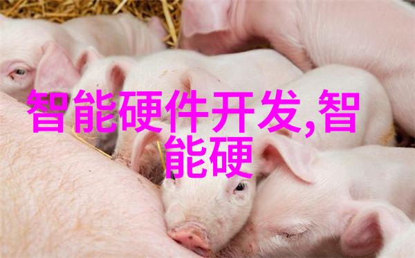 不锈钢陶瓷填料的生产工艺有哪些