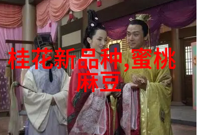 高科技的双面北京软件测评公司的隐秘挑战