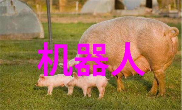 废机油我的故事从烂机器到再生希望