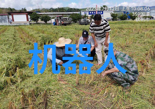 科技 苹果新品发布会未来之光在这刻闪耀