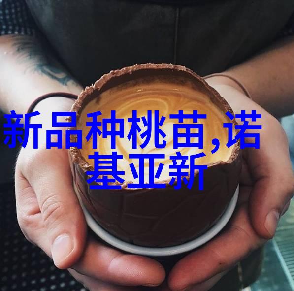 清泉源自心小型纯净水设备的奇迹